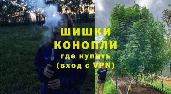 индика Аркадак