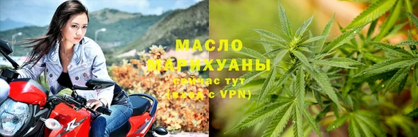 индика Аркадак