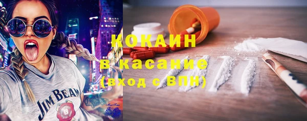 индика Аркадак